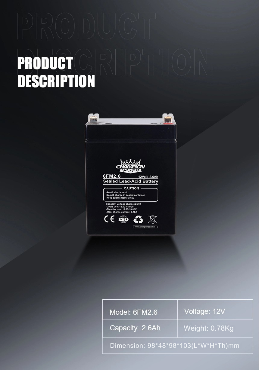 12V2.6ah AGM Battery Batería AGM de 12v2.6Ah