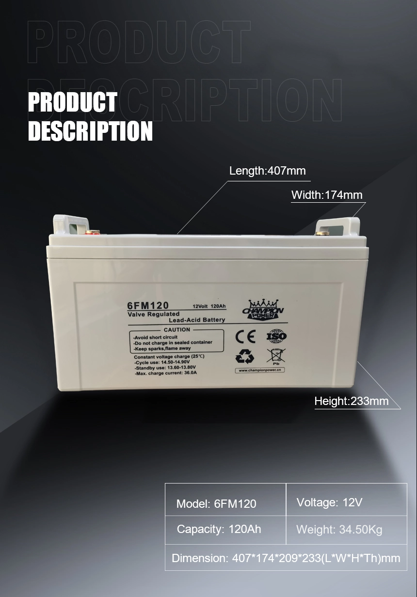12V120Ah AGM battery 6FM12012V120AH AGM Batería