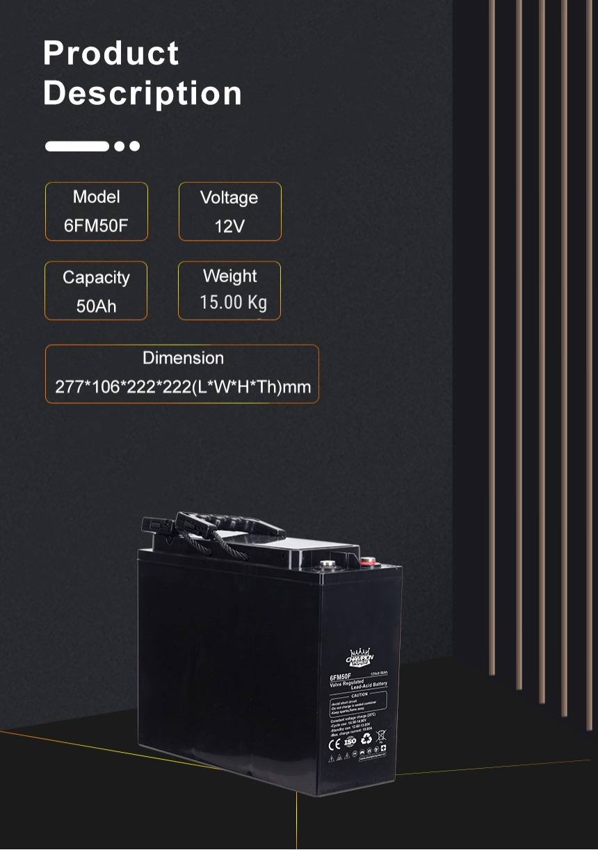 12v55ah front terminal Battery Batería del terminal delantero de 12V55AH