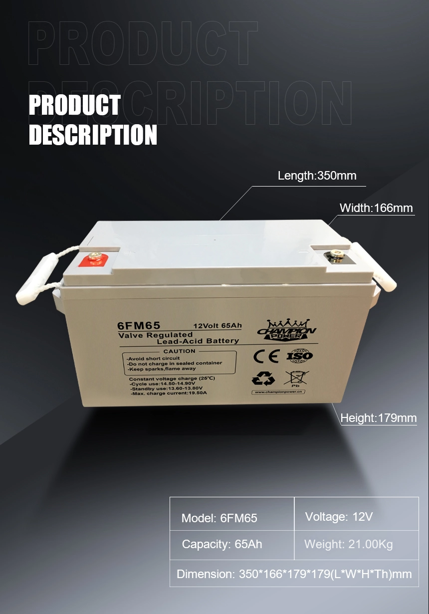 12V65Ah AGM battery Batería AGM de 12V65AH
