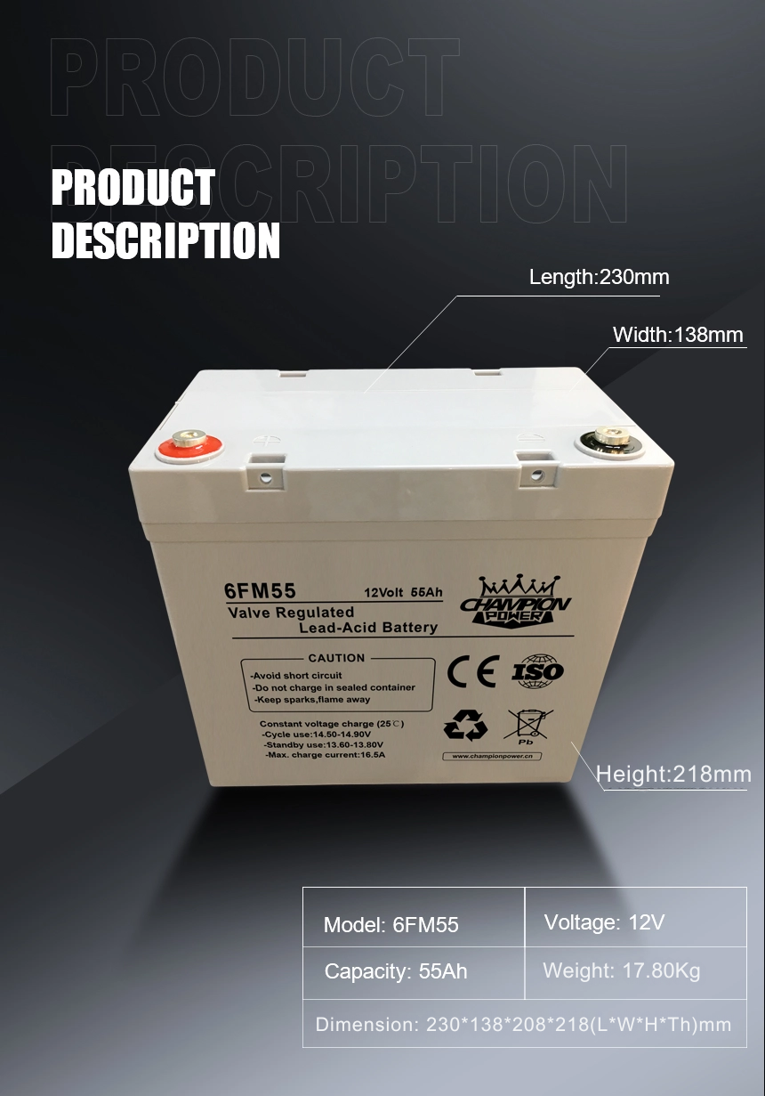12V55Ah AGM Battery 6FM5512V55AH AGM Batería