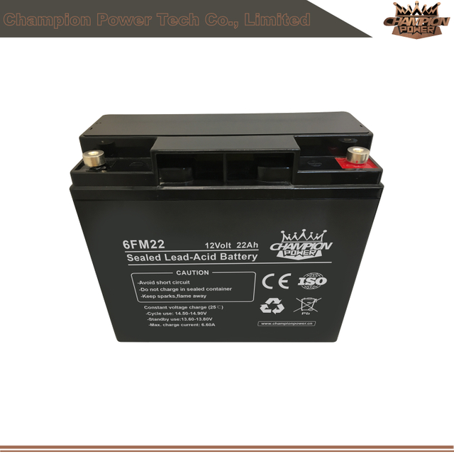 6fm22 12V22AH AGM Batería