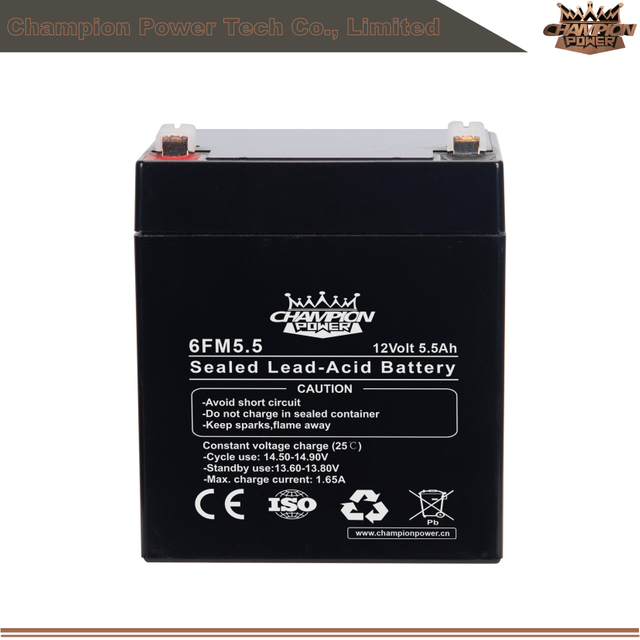 6fm5.5 12V5.5AH AGM Batería
