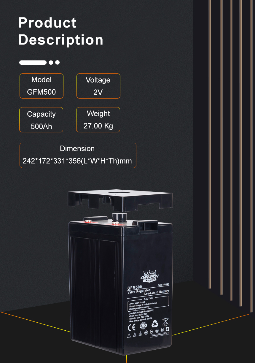 Descripción del producto GFM500