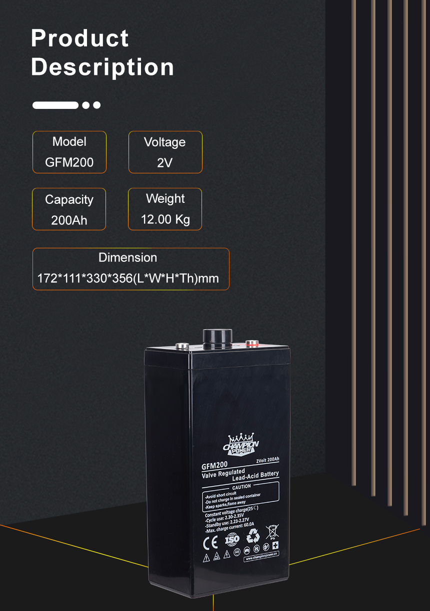 GFM200 Product Description Descripción del producto GFM200