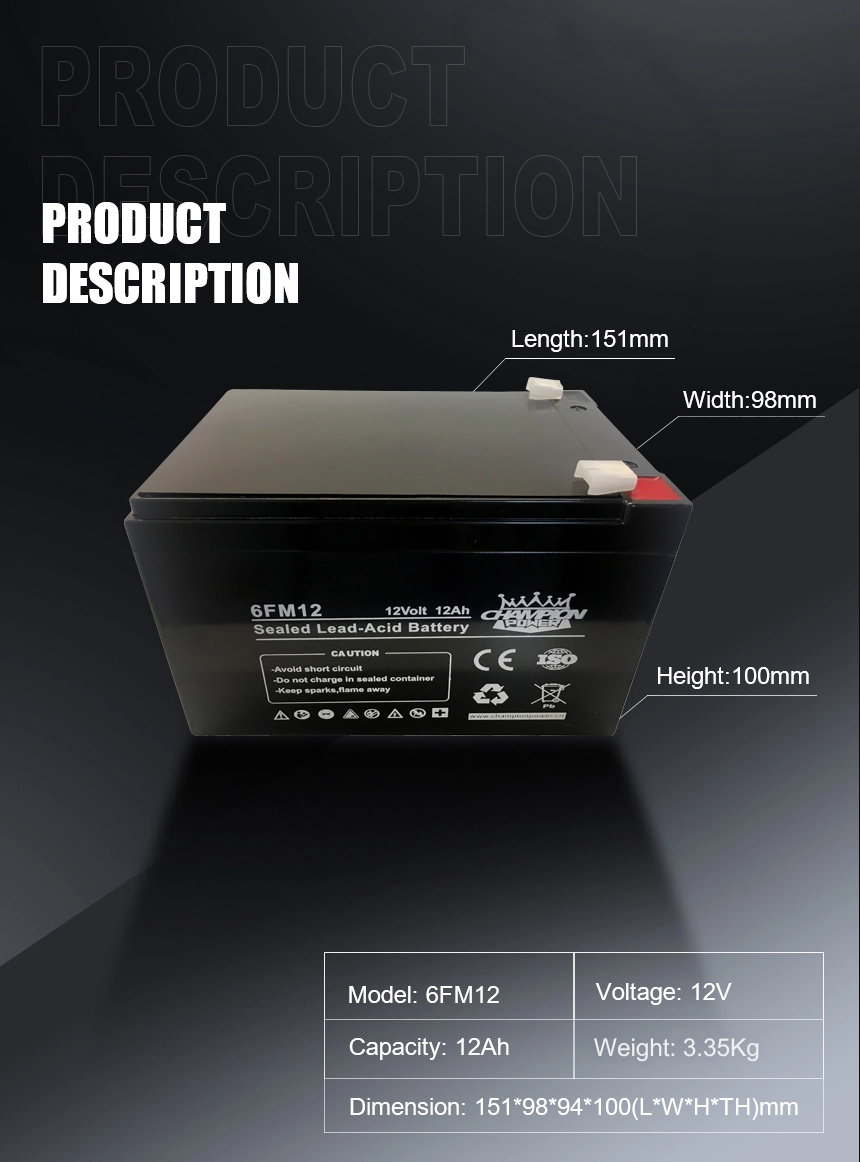 12V12AH AGM Batería