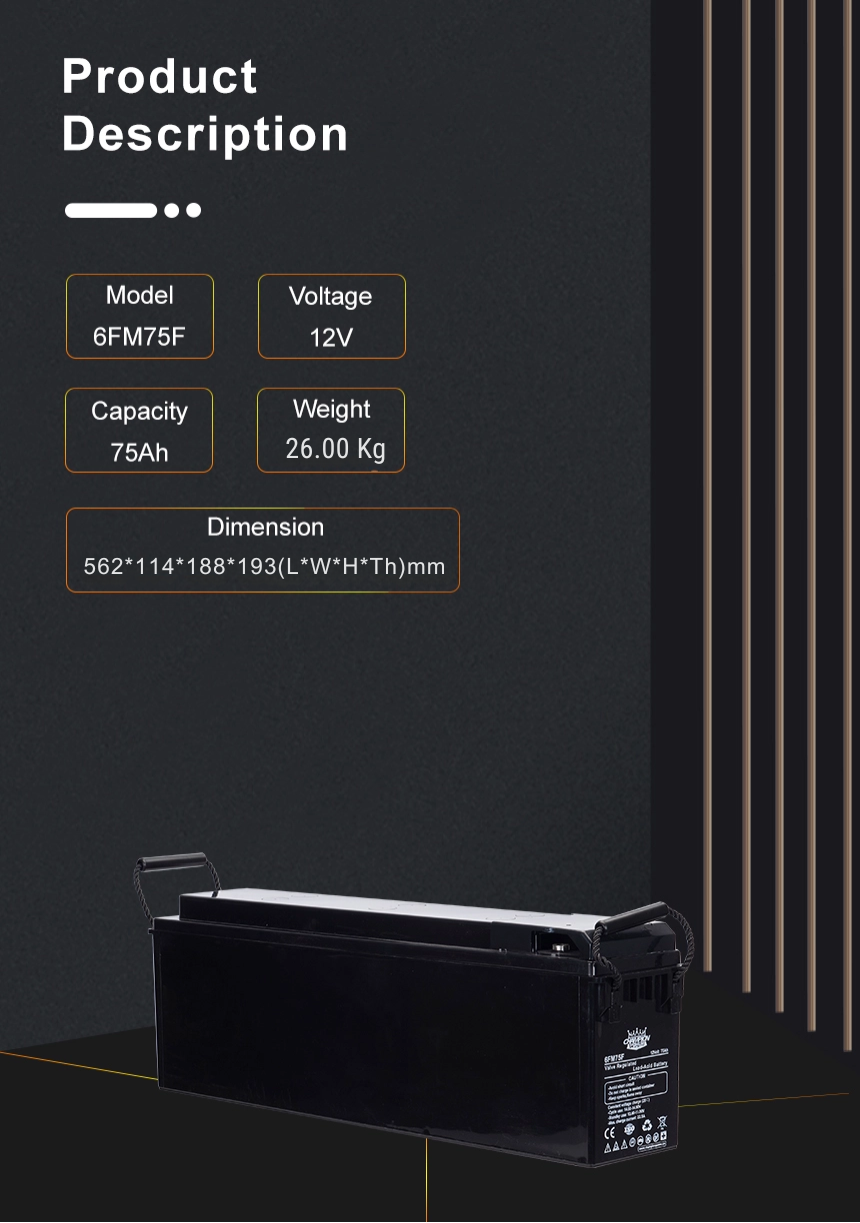 12V75AH Batería del terminal delantero