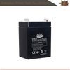 6fm2.6 12v2.6Ah AGM Batería