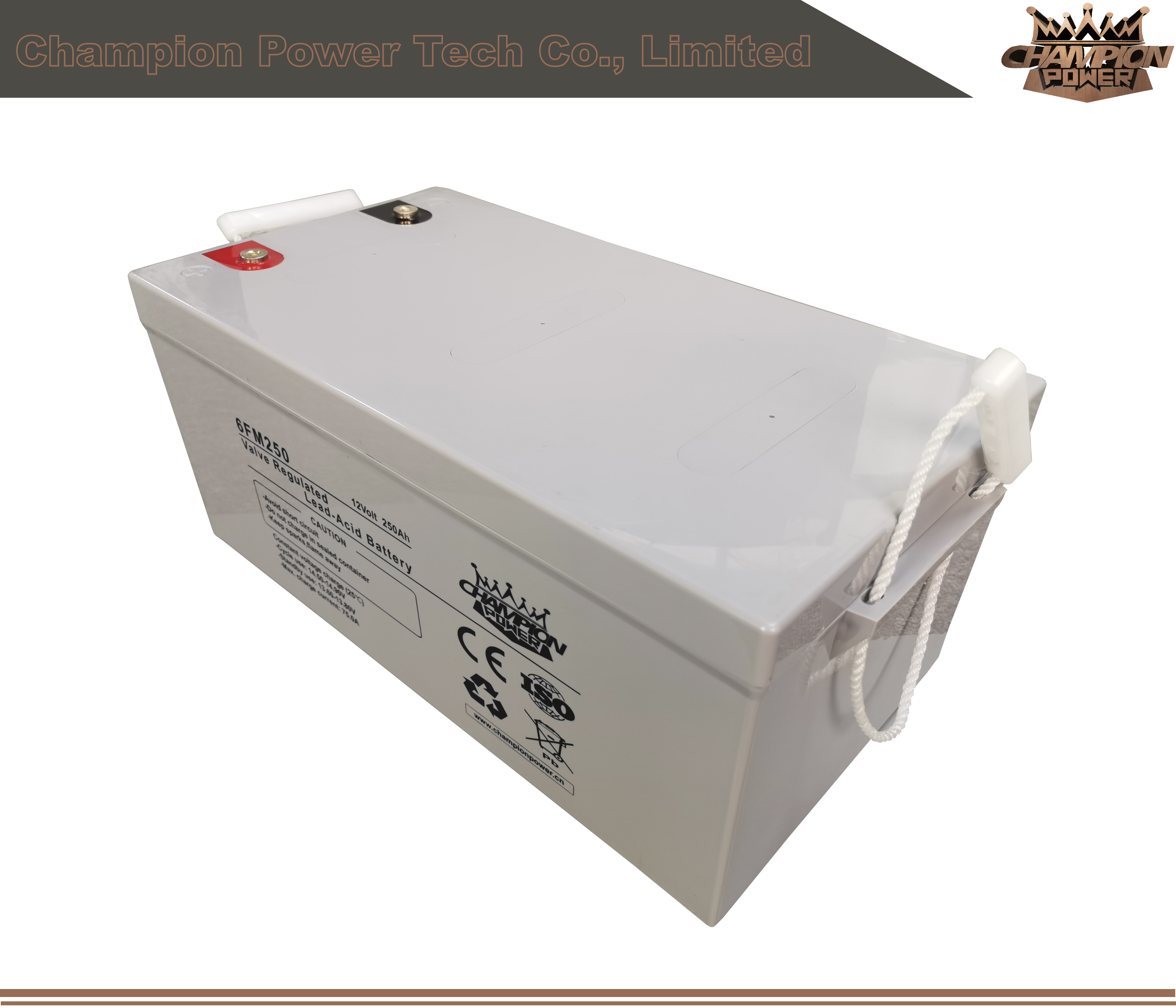 6fm250 12V250AH AGM Batería