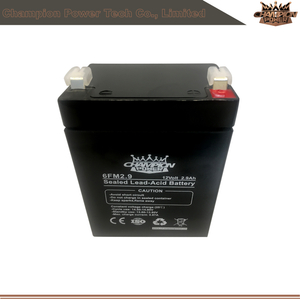 6fm2.9 12v2.9Ah AGM Batería