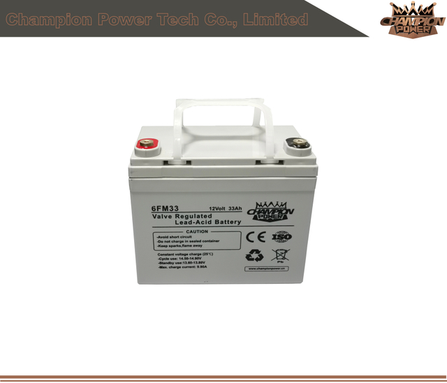 6fm33 12V33AH AGM Batería