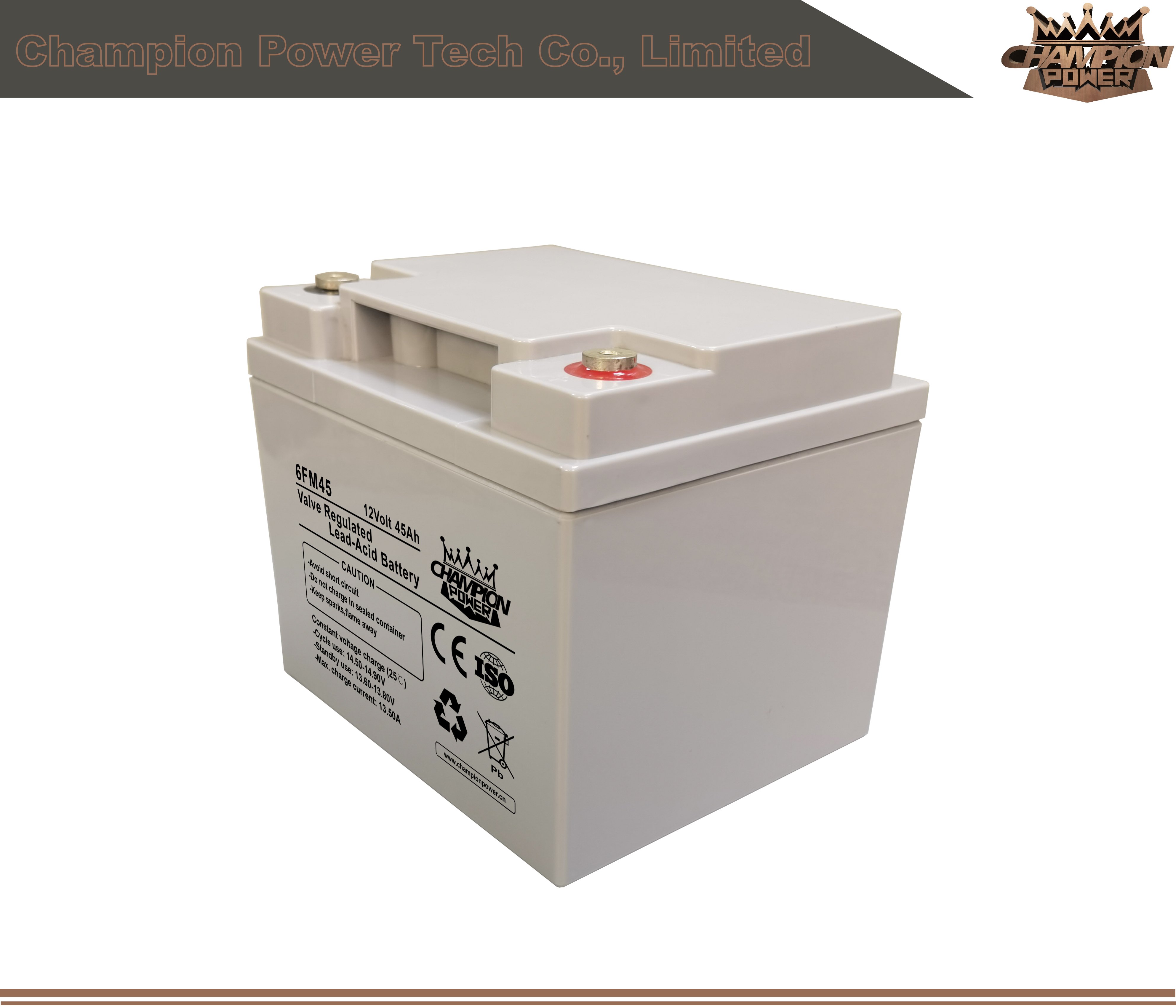6fm45 12V45AH AGM Batería
