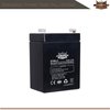 6fm2.0 12v2.0AH AGM Batería