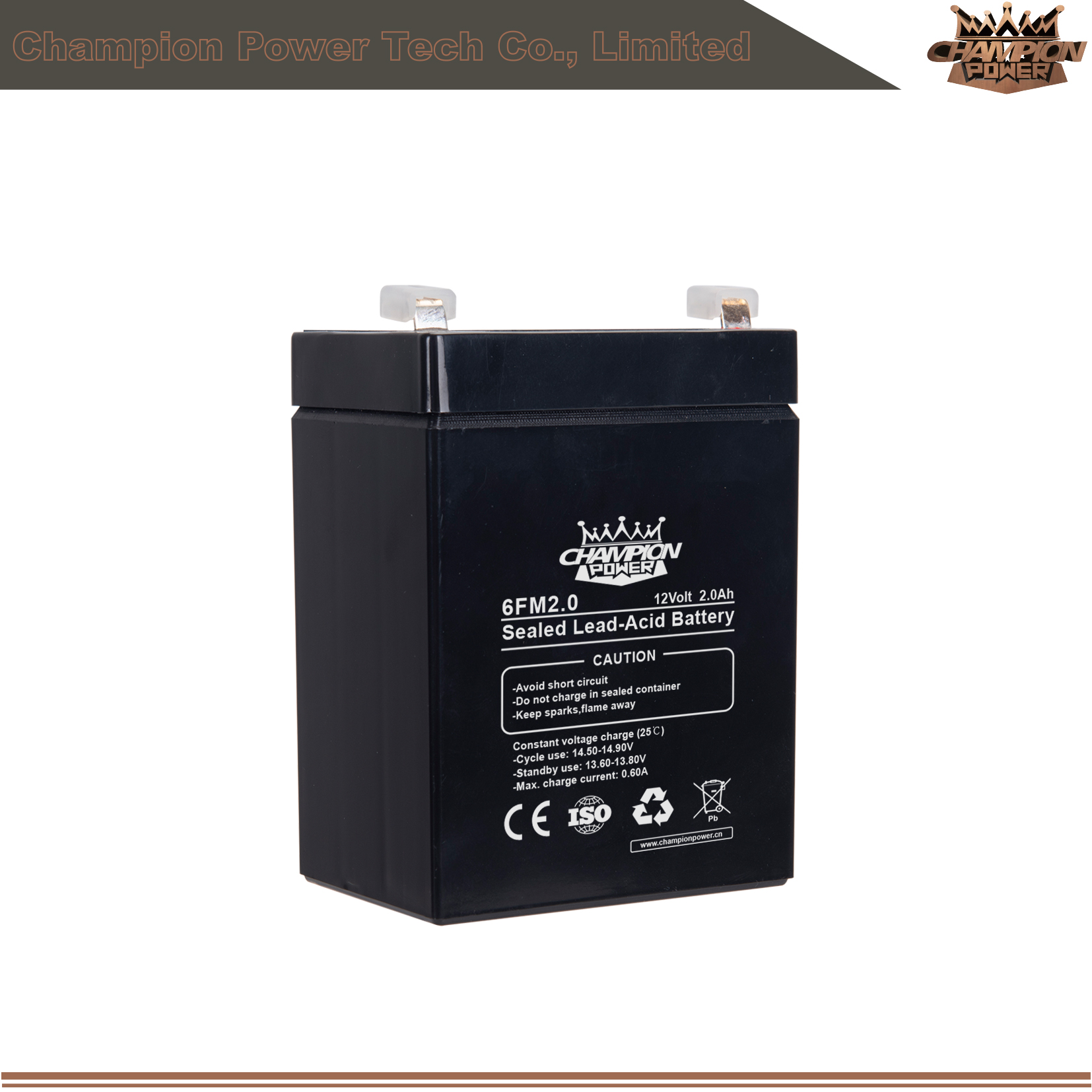 6fm2.0 12v2.0AH AGM Batería