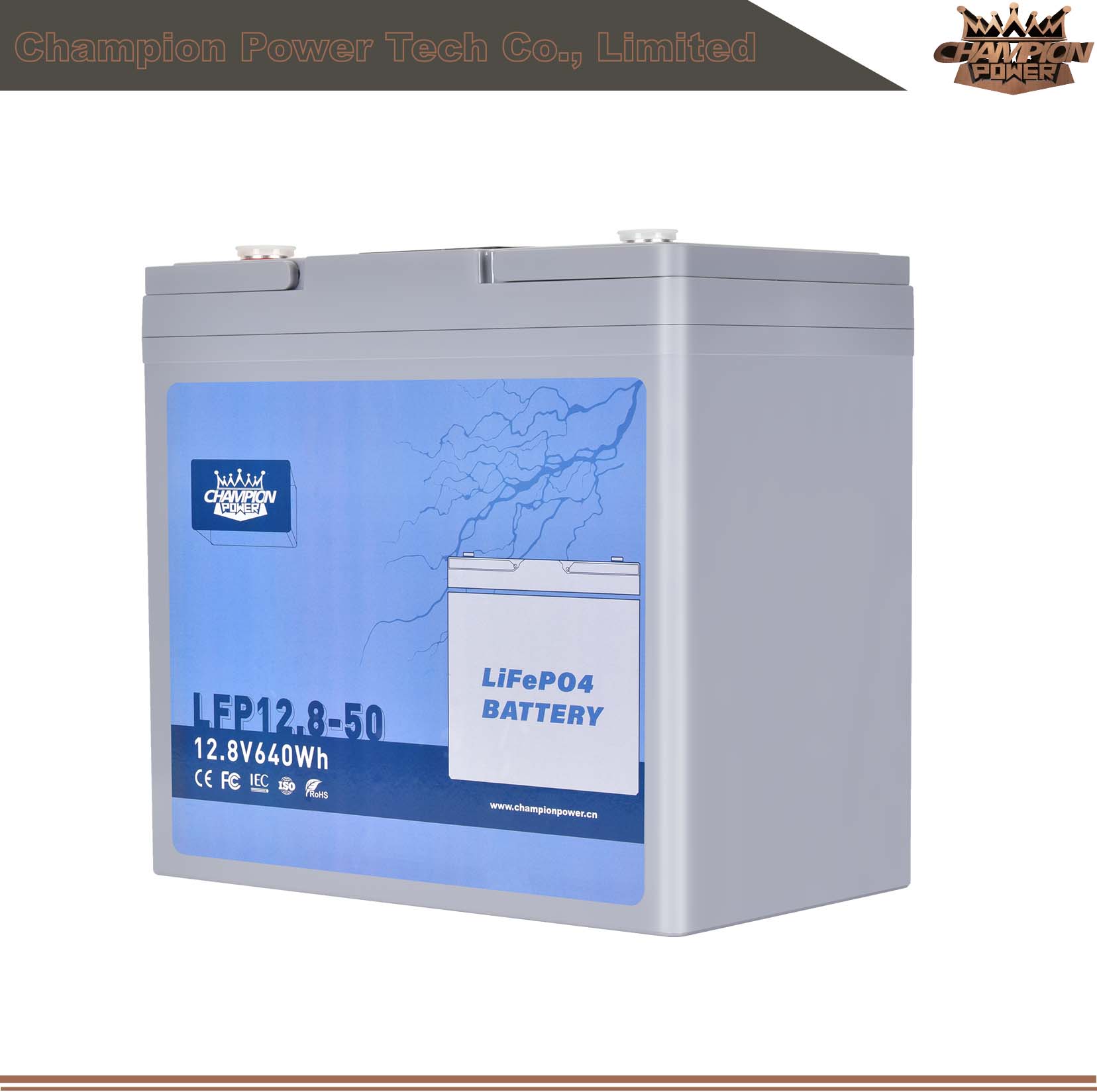 LFP12.8-50 12V50AH LIFEPO4 BATERÍA