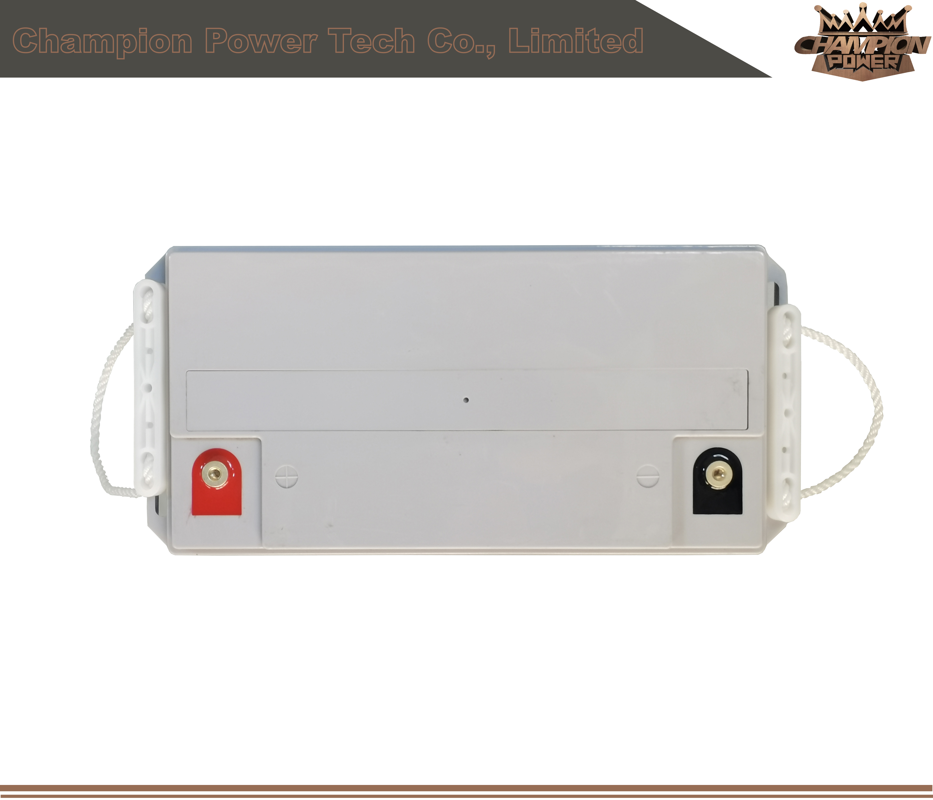 6fm65 12V65AH AGM Batería