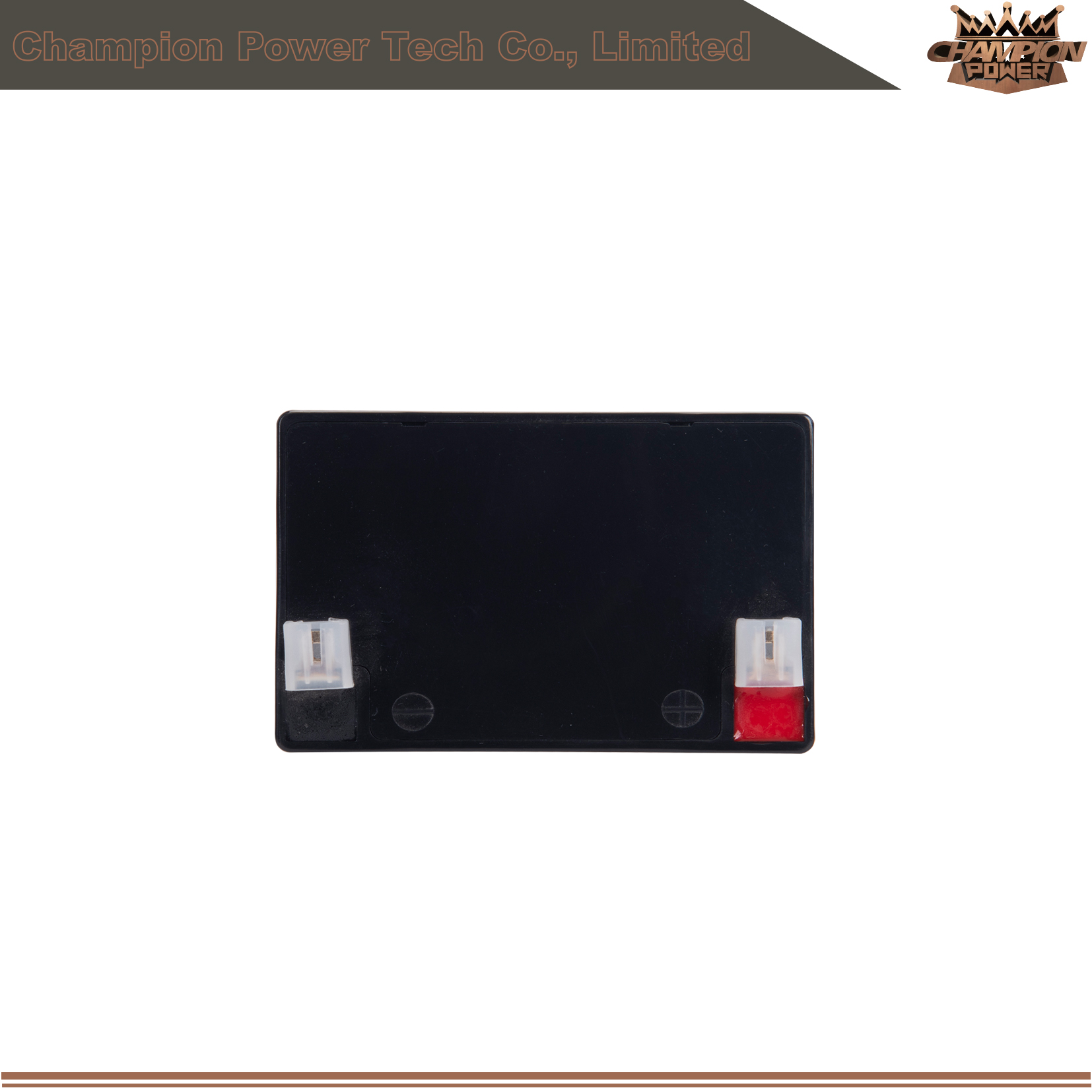 6fm2.0 12v2.0AH AGM Batería