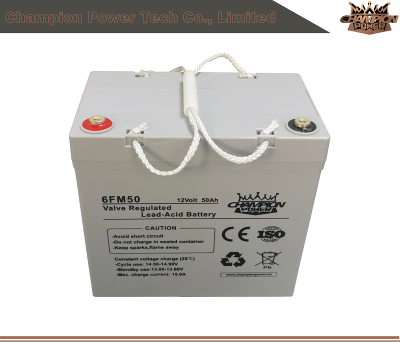 6fm50 12V50AH AGM Batería