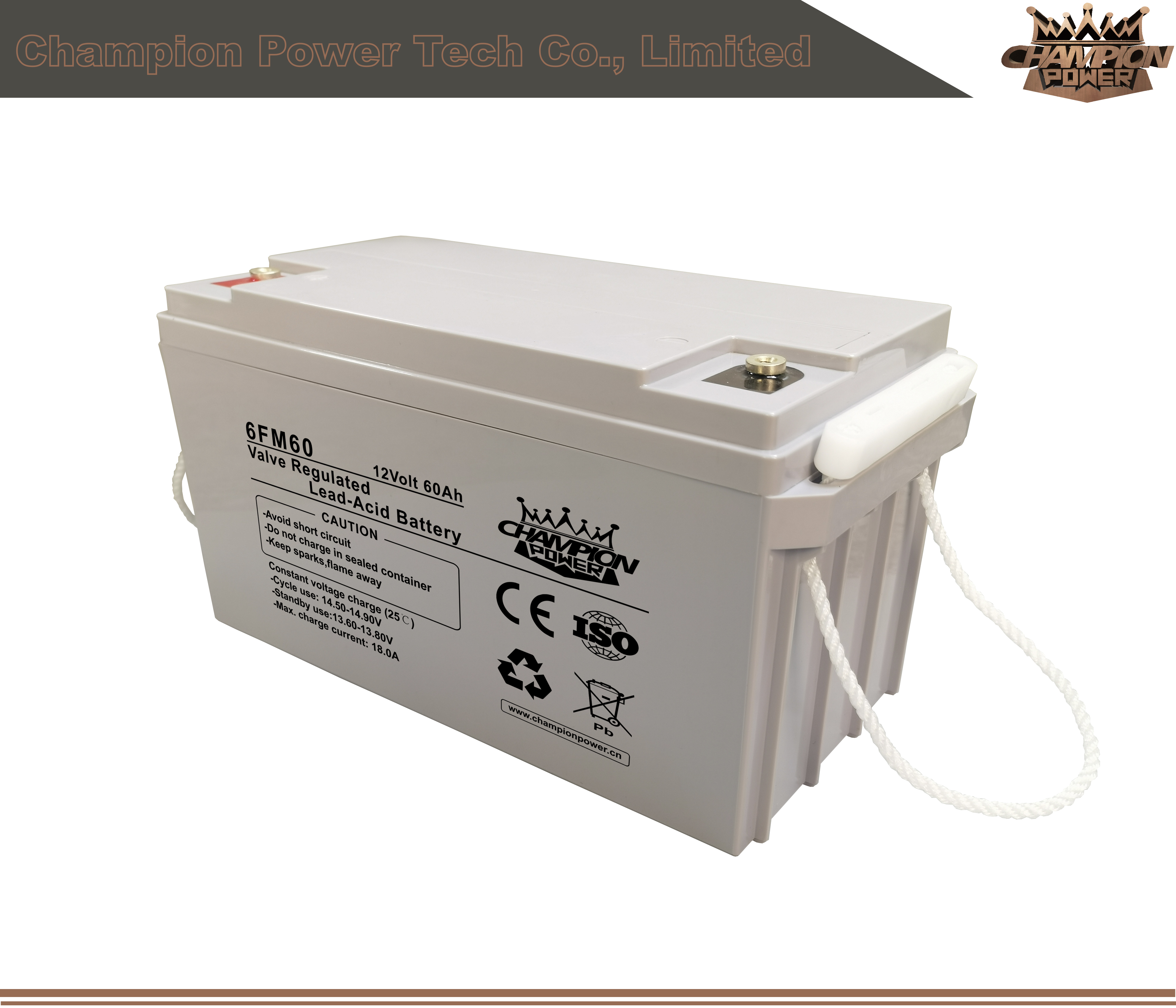 6fm60 12V60AH AGM Batería