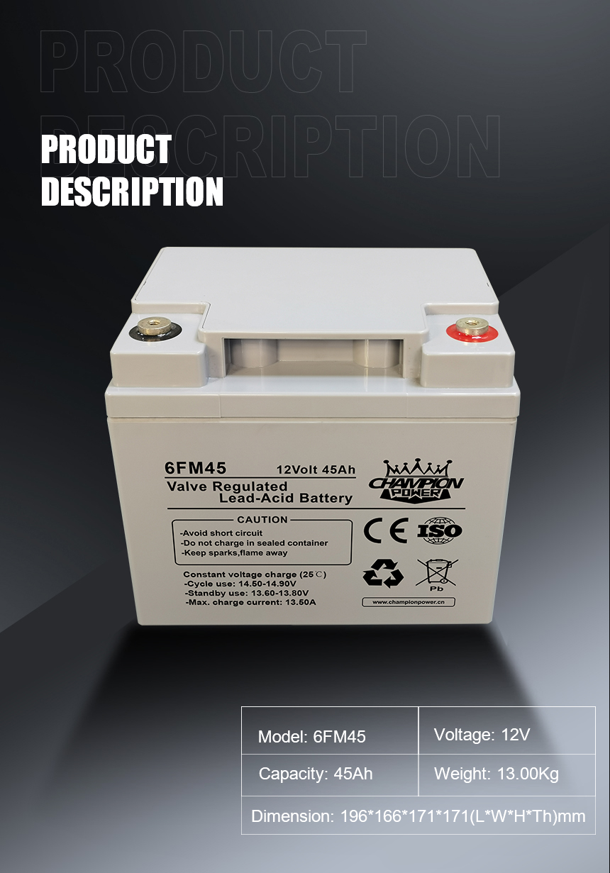 Descripción del producto de 12V45AH