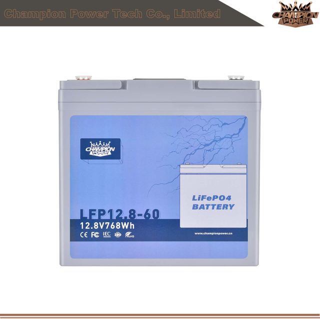 LFP12.8-60 12V60AH LIFEPO4 BATERÍA