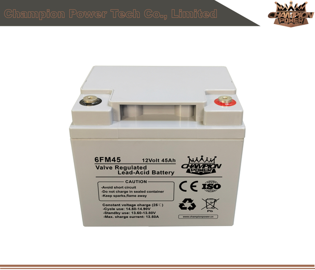 6fm45 12V45AH AGM Batería