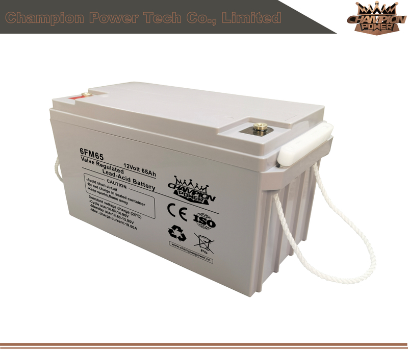 6fm65 12V65AH AGM Batería
