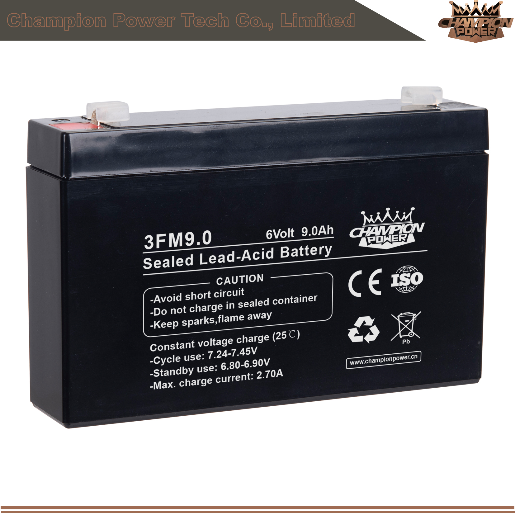 3fm9.0 6V9.0AH AGM Batería
