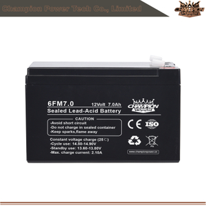 6fm7.0 12V7AH AGM Batería