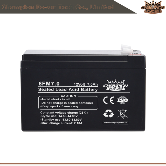 6fm7.0 12V7AH AGM Batería