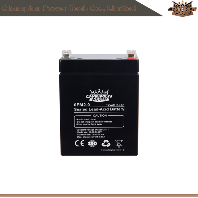6fm2.0 12v2.0AH AGM Batería