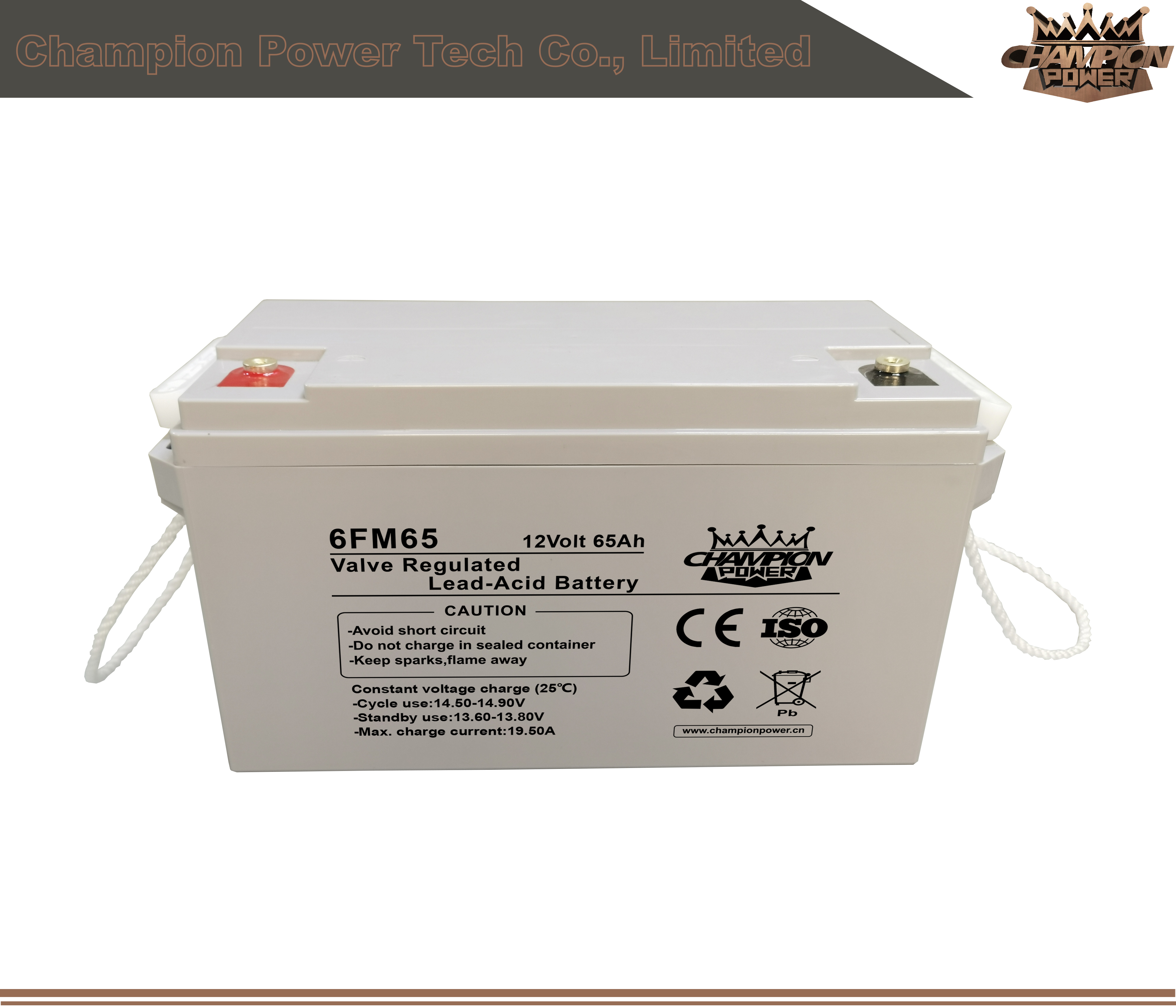 6fm65 12V65AH AGM Batería