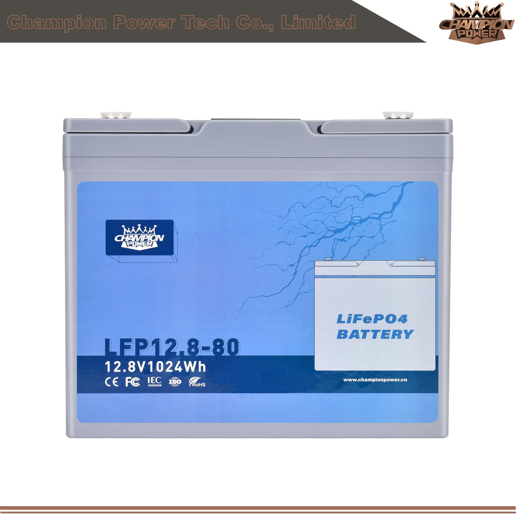 LFP12.8-80 12V80AH LIFEPO4 BATERÍA