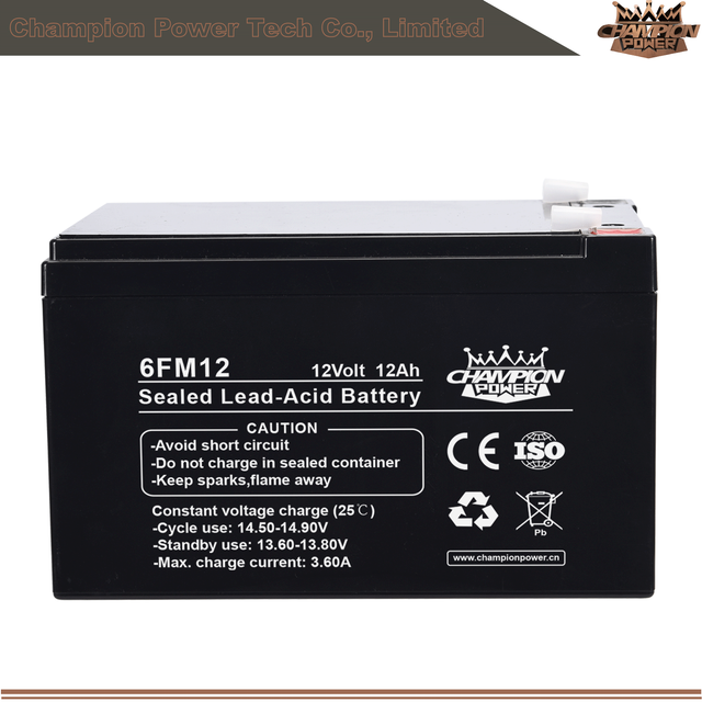 6fm12 12V12AH AGM Batería