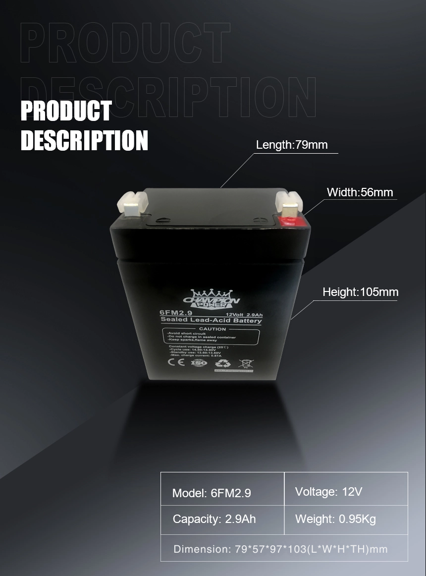 Batería AGM de 12v2.9Ah