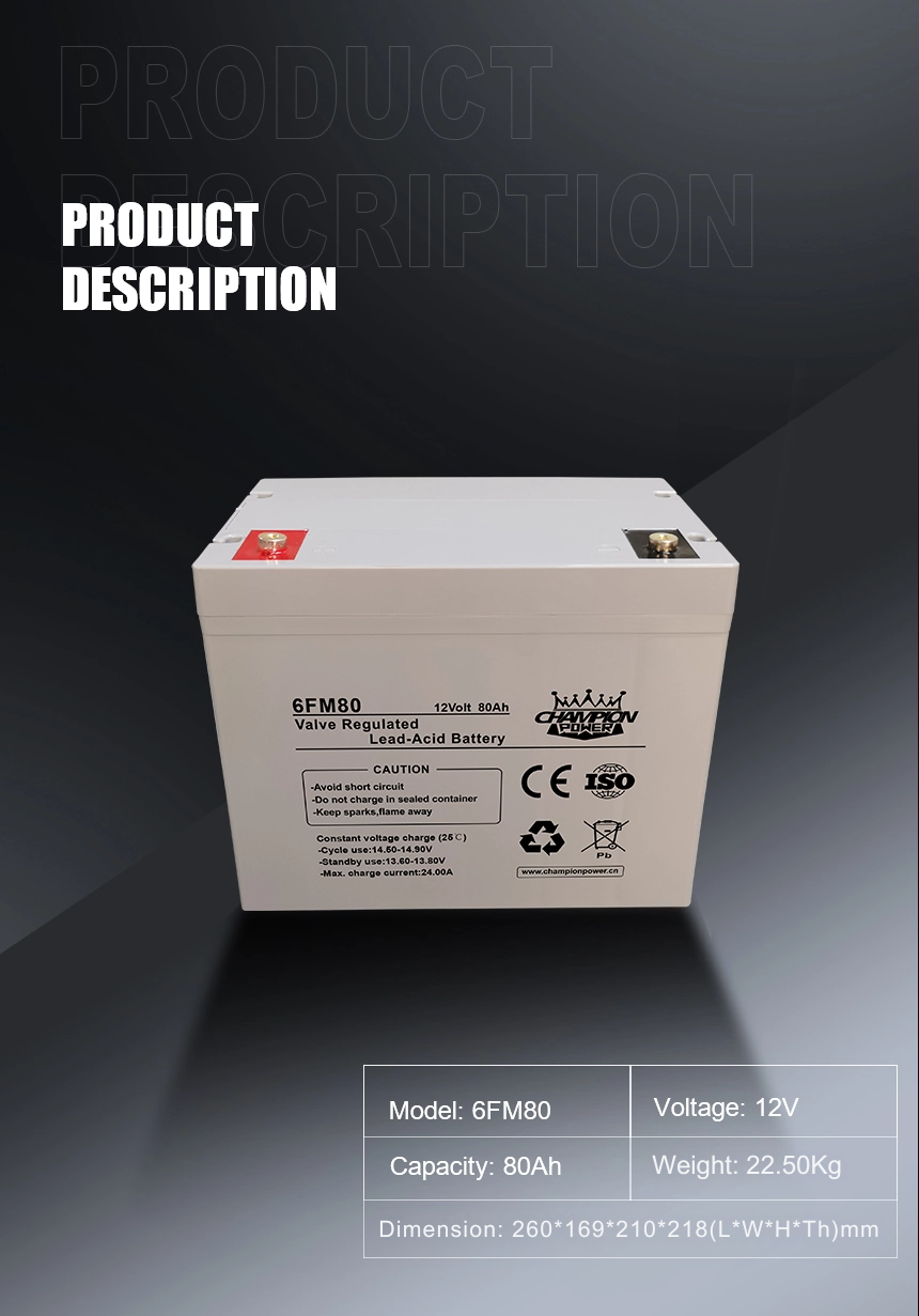 Batería AGM de 12V80AH