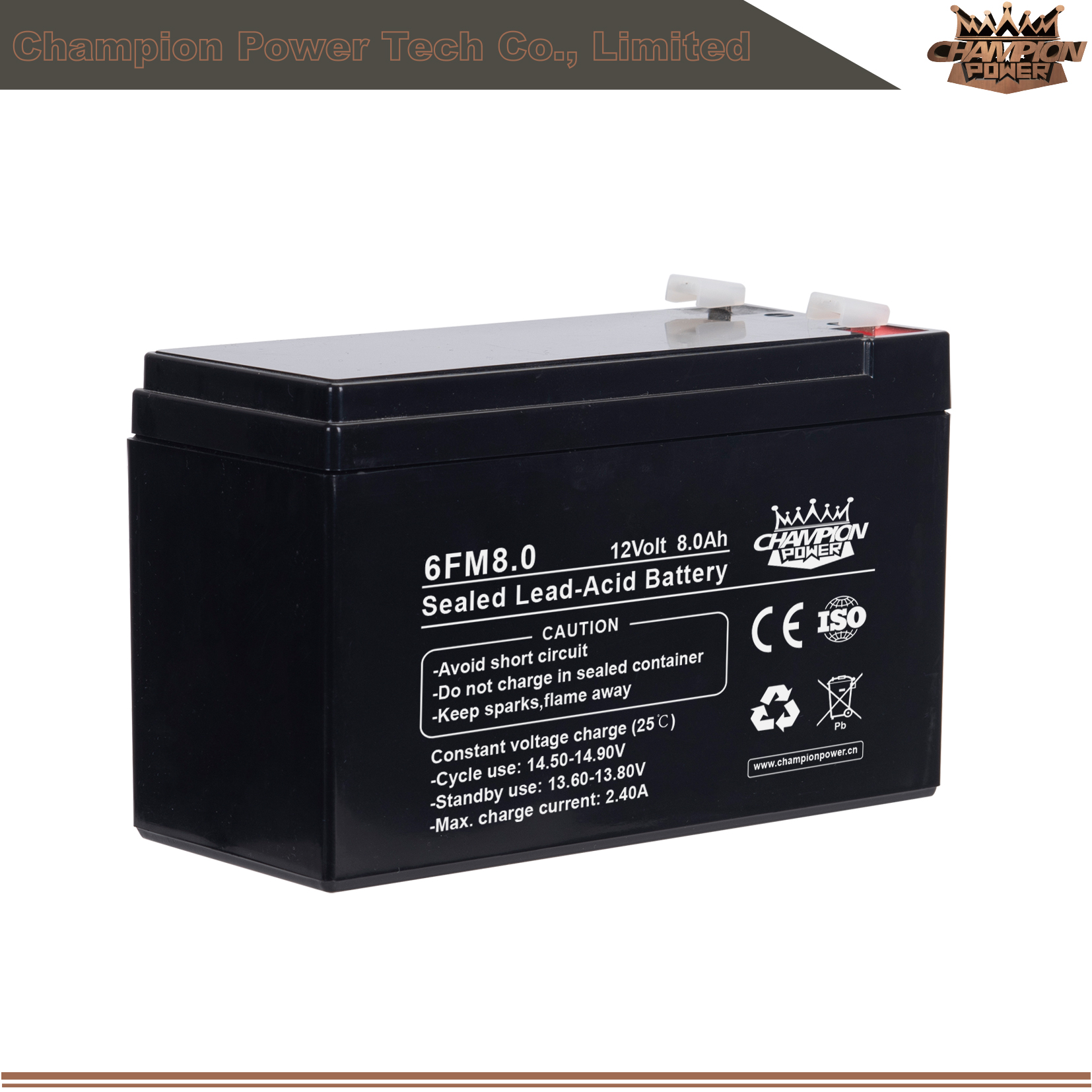 6fm8.0 12V8AH AGM Batería