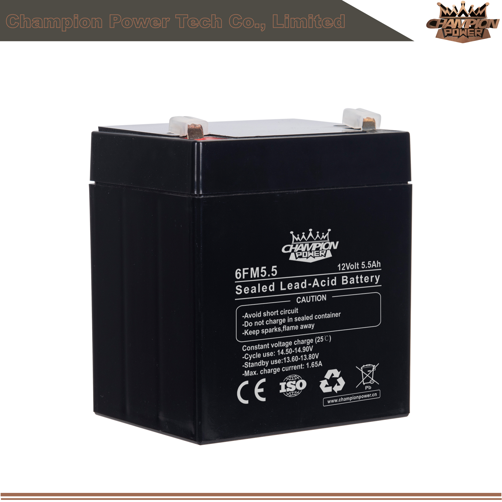 6fm5.5 12V5.5AH AGM Batería