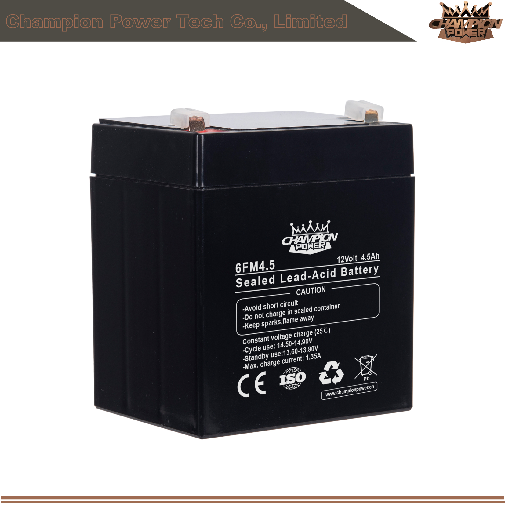 6fm4.5 12v4.5AH AGM Batería