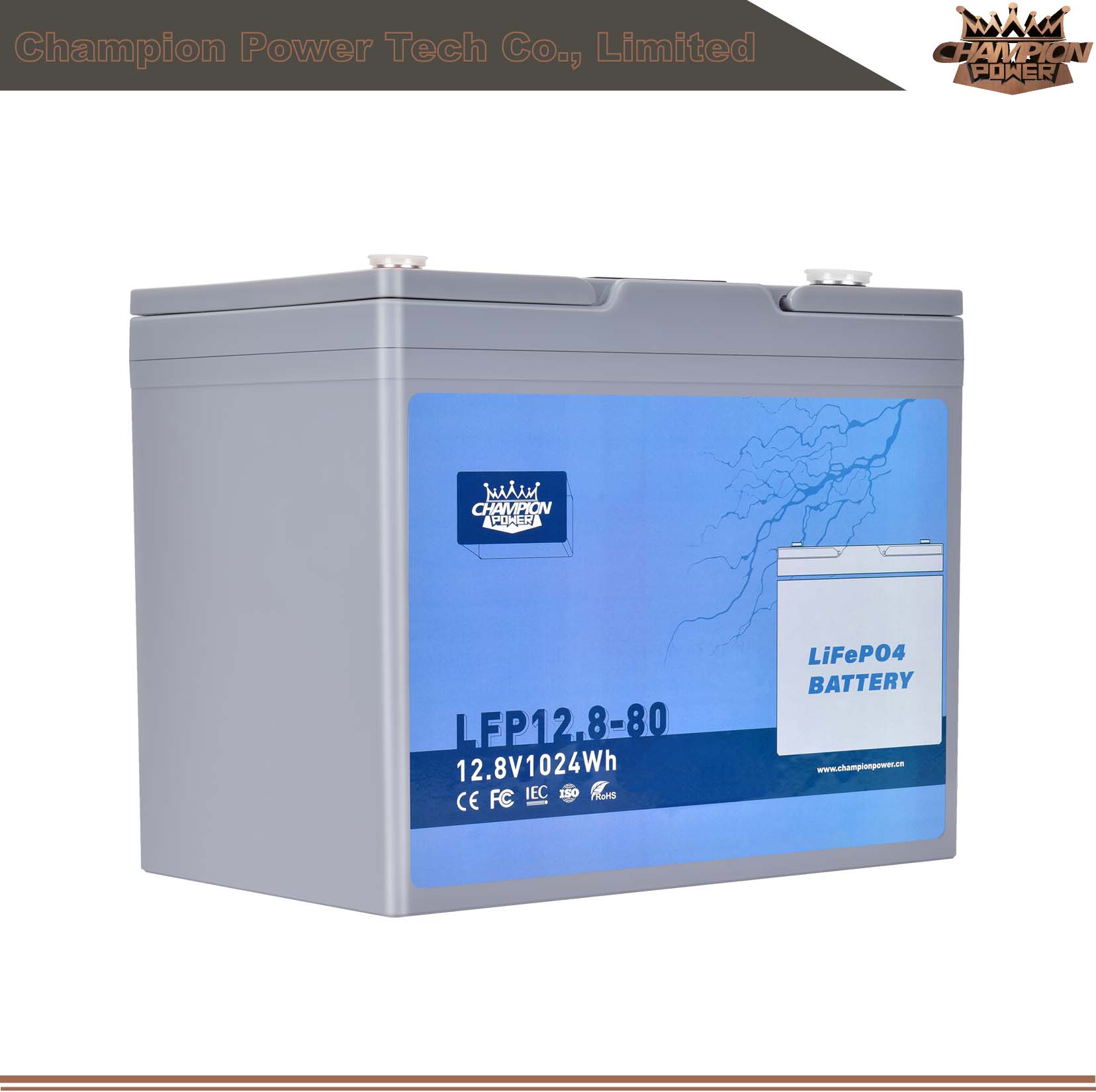 LFP12.8-80 12V80AH LIFEPO4 BATERÍA
