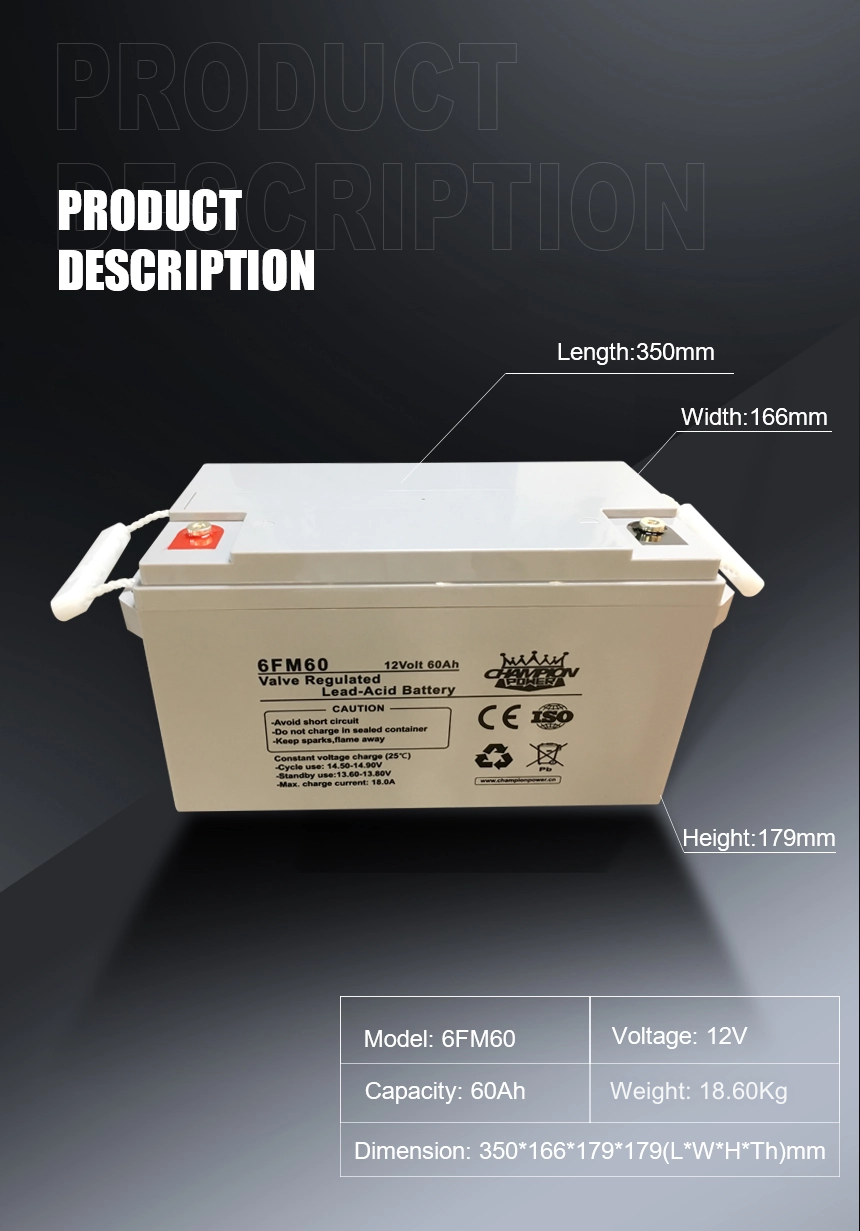 Batería AGM de 12V60AH