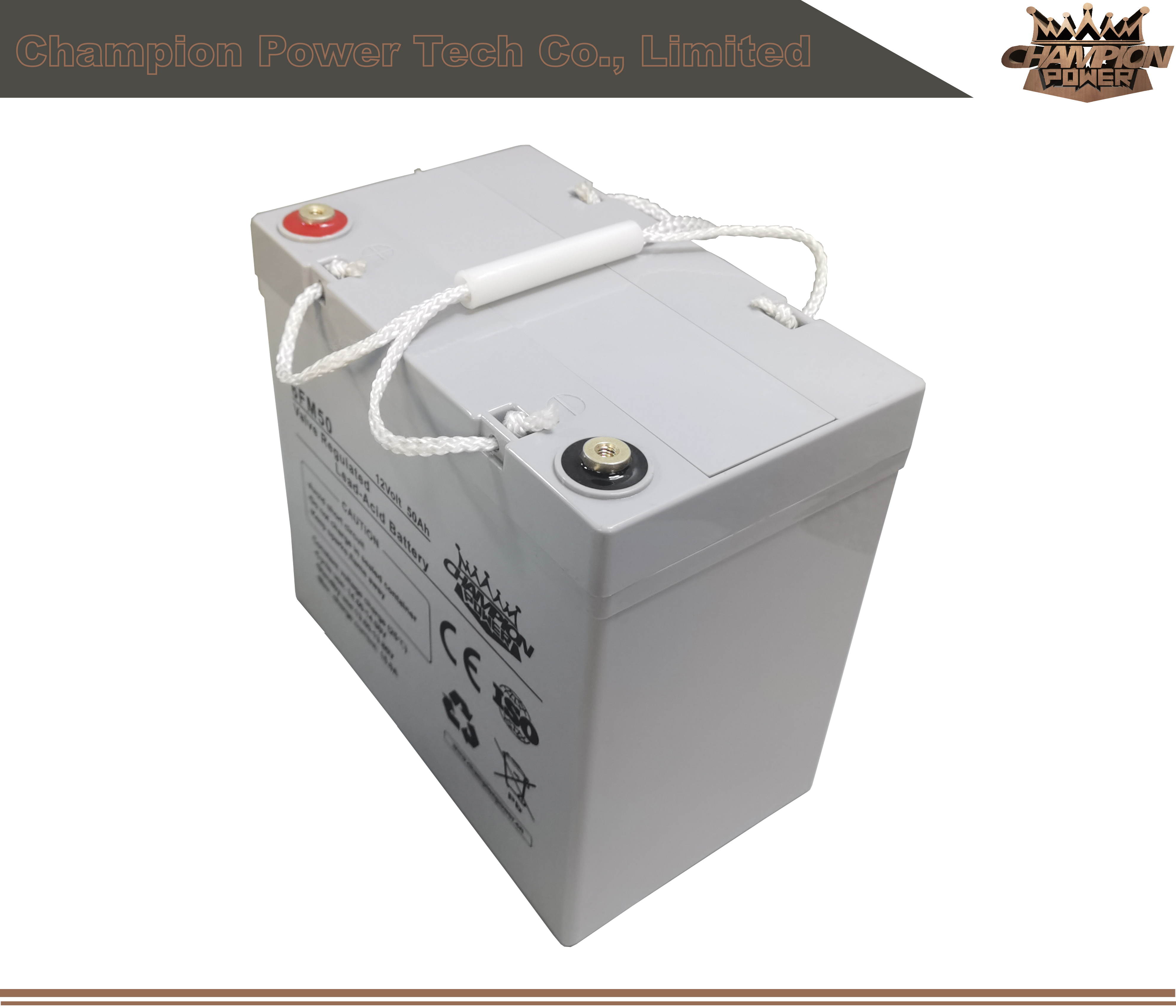 6fm50 12V50AH AGM Batería