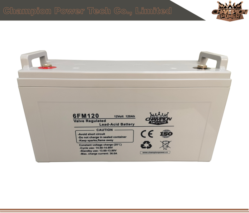 6FM120 12V120AH AGM Batería