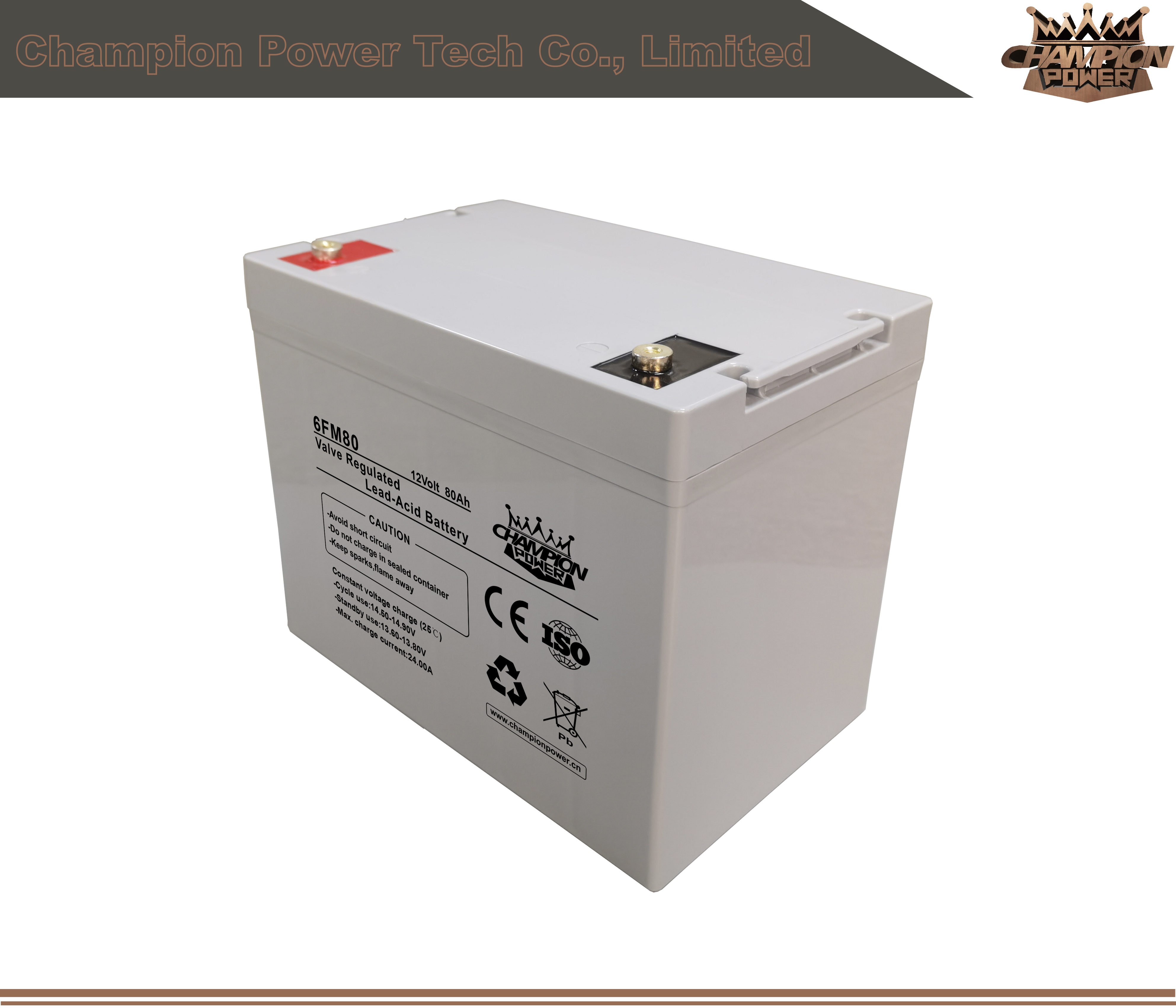 6fm80 12V80AH AGM Batería