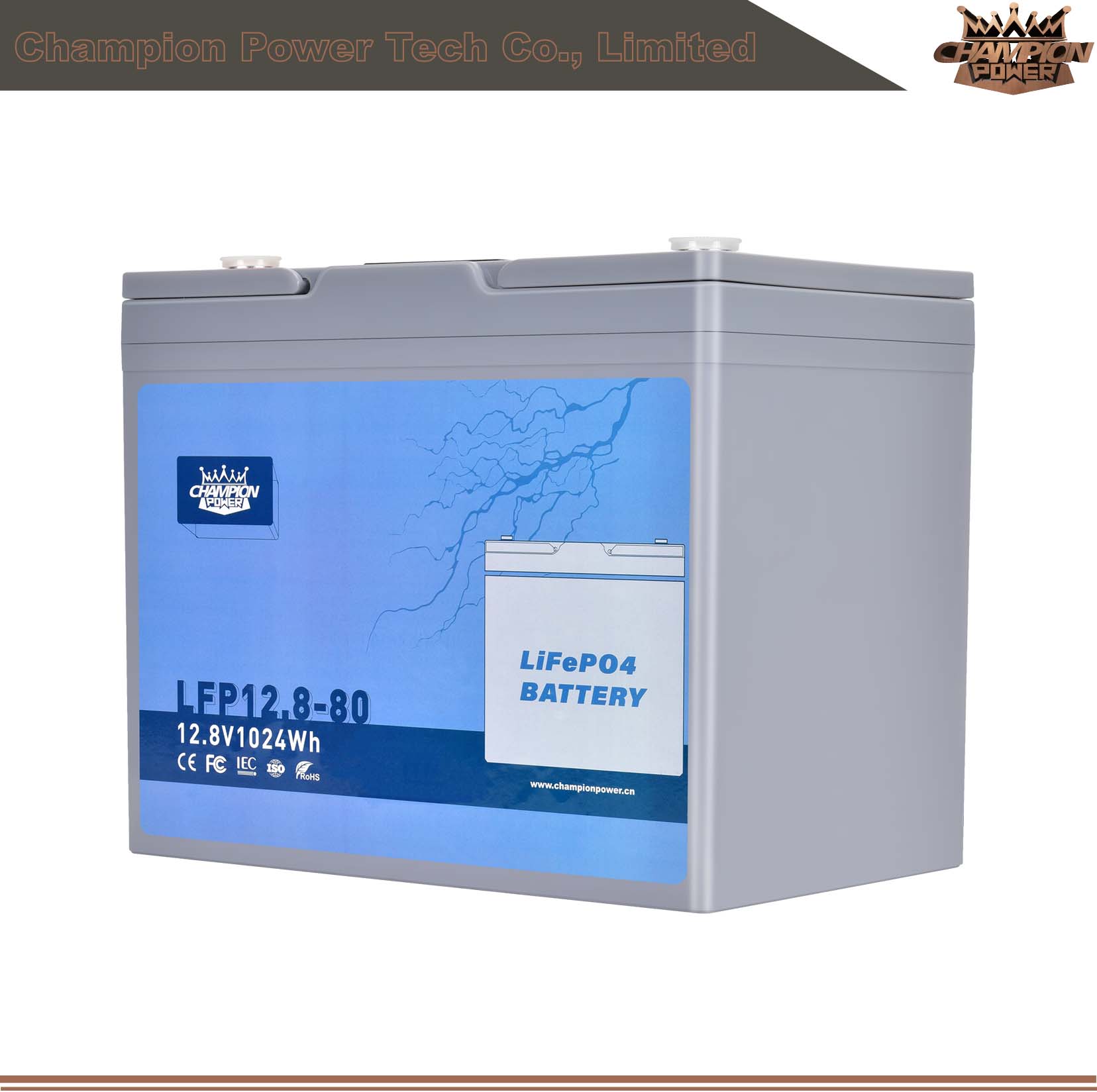 LFP12.8-80 12V80AH LIFEPO4 BATERÍA