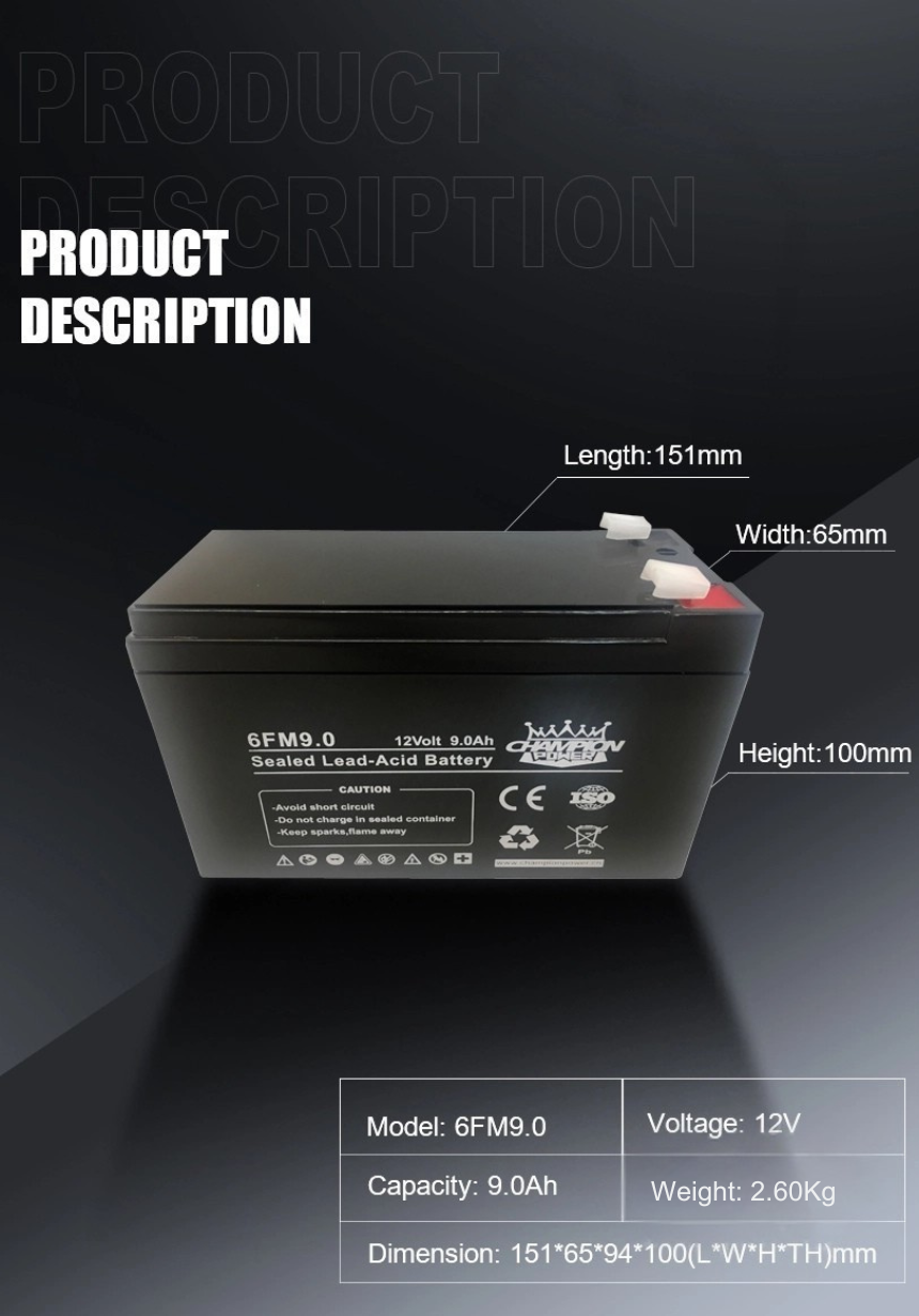 Batería AGM de 12V9.0AH 