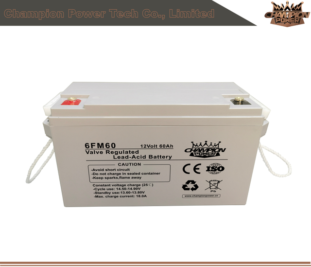 6fm60 12V60AH AGM Batería