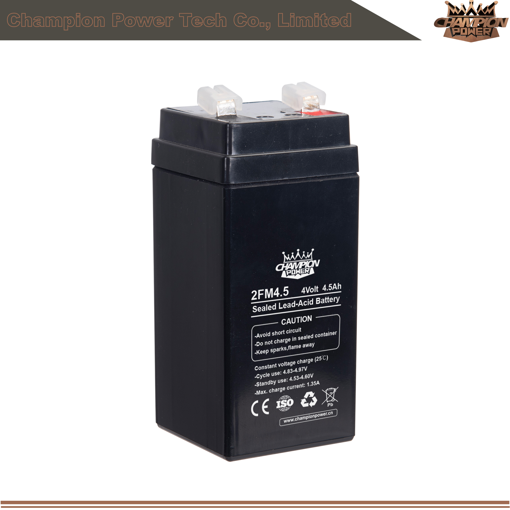 2fm4.5 4v4.5Ah AGM Batería