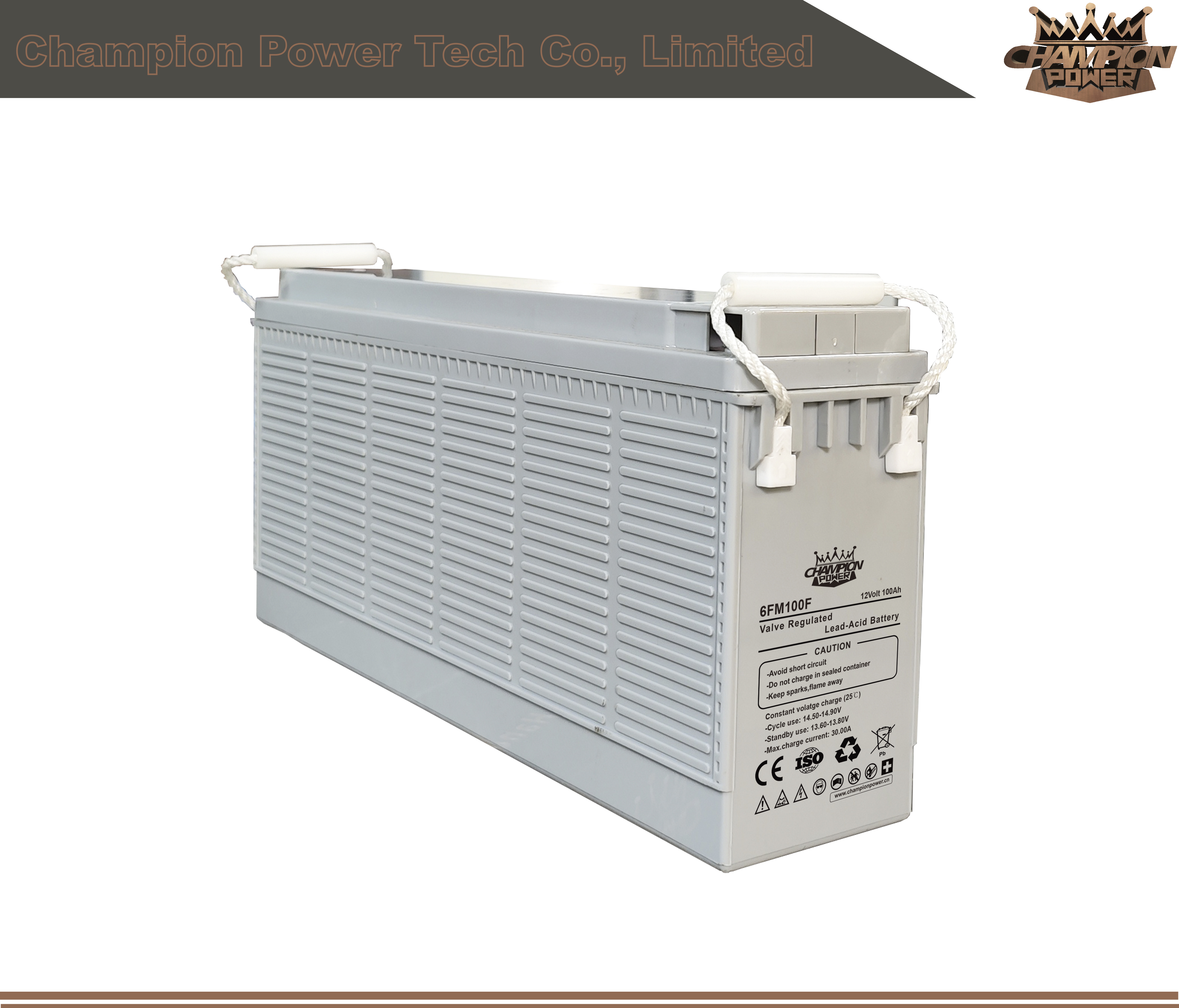 6FM100F 12V100AH Batería del terminal delantero