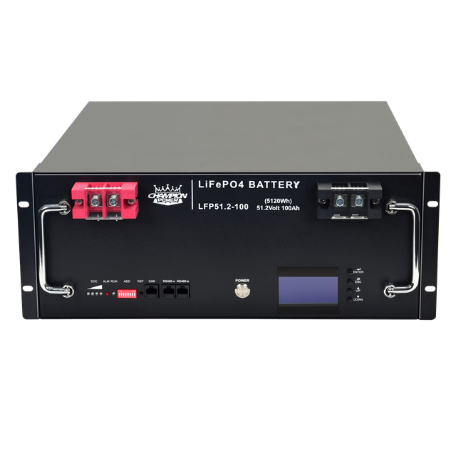 LFP51.2-100 51.2V100AH batería montada